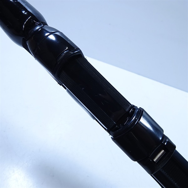 ワカサギ 桃天１１０